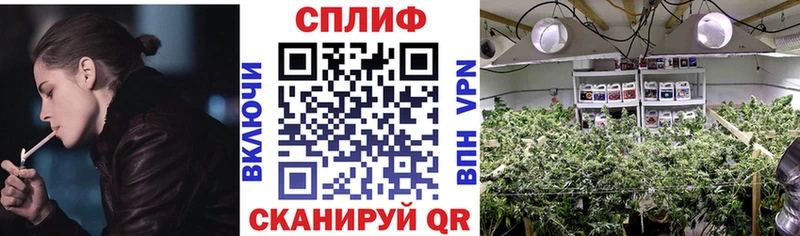 Купить наркотики сайты Сафоново АМФЕТАМИН Cocaine Alpha-PVP Меф МАРИХУАНА
